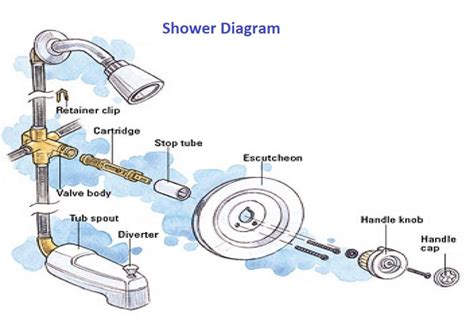 Shower Assembly Components